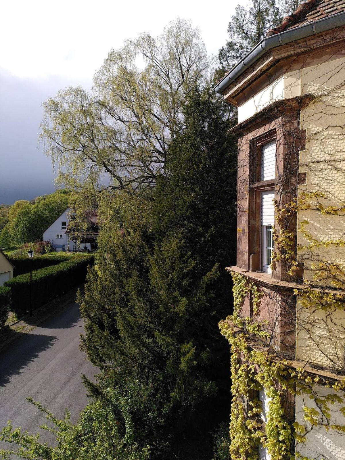 Chez Jeanne A La Villa Gruber لا بيتيت-بيير المظهر الخارجي الصورة